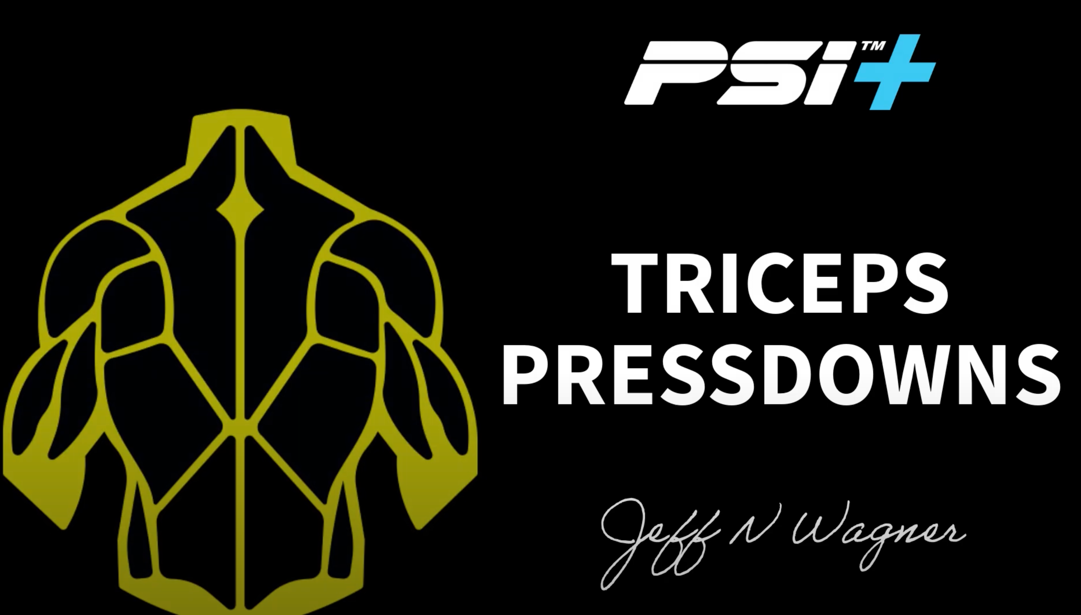 Load video: PSI Tricep Pressdowns Video